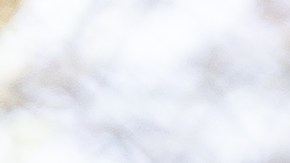 Explora una selección cuidadosamente seleccionada de productos de belleza imprescindibles para la primavera. Con detalles sobre paletas de sombras de ojos, sueros hidratantes y fragancias exclusivas, este artículo te guiará hacia una belleza fresca y radiante que te hará brillar durante toda la temporada.