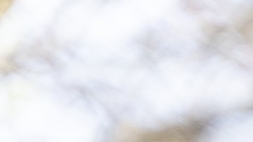 Explora una selección cuidadosamente seleccionada de productos de belleza imprescindibles para la primavera. Con detalles sobre paletas de sombras de ojos, sueros hidratantes y fragancias exclusivas, este artículo te guiará hacia una belleza fresca y radiante que te hará brillar durante toda la temporada.