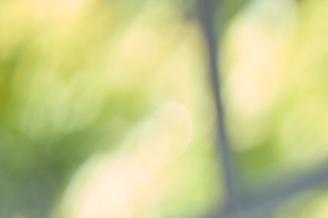 Disfruta de un hogar confortable sin reventar tu billetera: ¡ahorra en calefacción y aire acondicionado!