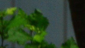 Lentes para el eclipse