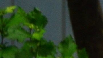 Lentes para el eclipse