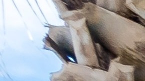 Este artículo presenta una selección de productos con descuento en Walmart para el 6 de mayo, incluyendo camas tapizadas elegantes, scooters eléctricos plegables y cafeteras versátiles. Encuentra lo que necesitas a precios irresistibles.