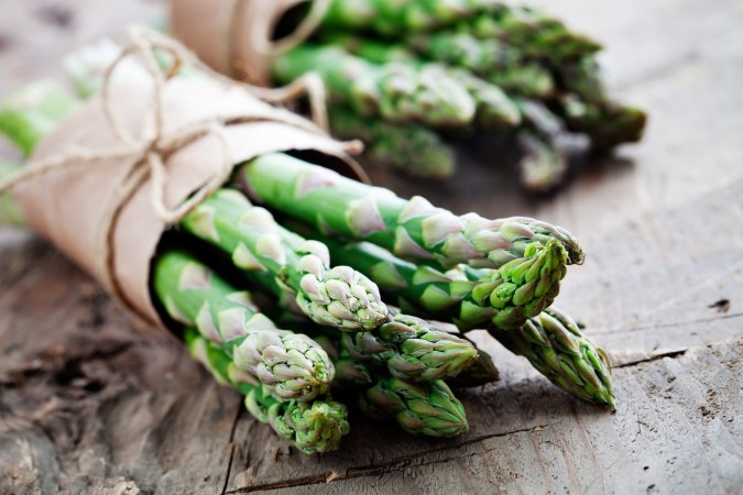 Alimento gourmet