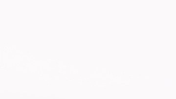 Pases turísticos, días gratuitos, descuentos para grupos: descubre los secretos para ahorrar en entradas a museos y atracciones en Estados Unidos.