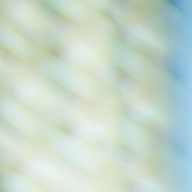 Compra inteligentemente tus productos de farmacia y parafarmacia online en Estados Unidos con estas estrategias para ahorrar.