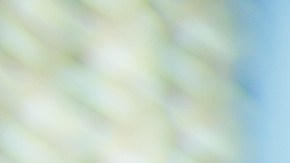 Compra inteligentemente tus productos de farmacia y parafarmacia online en Estados Unidos con estas estrategias para ahorrar.