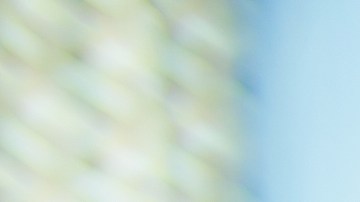 Compra inteligentemente tus productos de farmacia y parafarmacia online en Estados Unidos con estas estrategias para ahorrar.