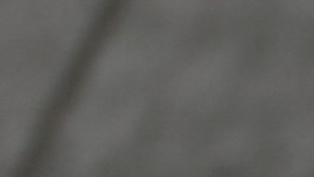 Con sus engranajes, animales, música, luces y más, este centro de actividades mantendrá a tu hijo entretenido durante horas mientras estimula su desarrollo.