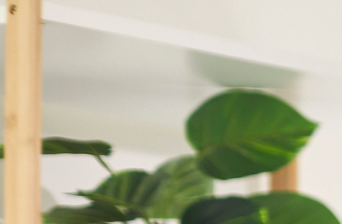 Aprovecha las membresías de aerolíneas y programas de fidelización de tarjetas de crédito para ganar recompensas y obtener beneficios en viajes.