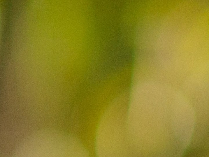 Mantén a raya a los mosquitos con el Repelente de Mosquitos Thermacell: una barrera de protección de 20 pies a tu alcance.