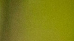 Mantén a raya a los mosquitos con el Repelente de Mosquitos Thermacell: una barrera de protección de 20 pies a tu alcance.