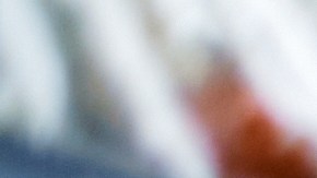 Encuentra grandes ahorros en marcas líderes como Member's Mark, West Bend, Ninja, Microsoft y Philips, con descuentos instantáneos y ofertas limitadas disponibles solo por tiempo limitado en Sam's Club.