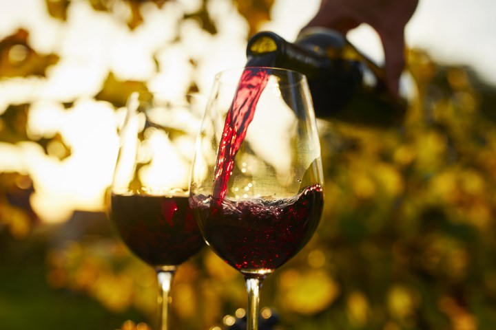 Deléitate con una selección de vinos Julieta que incluye desde un fresco Chardonnay hasta un cautivador Rosado floral, una opción ideal para el día de la madre.