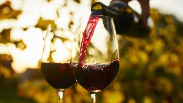 Deléitate con una selección de vinos Julieta que incluye desde un fresco Chardonnay hasta un cautivador Rosado floral, una opción ideal para el día de la madre.