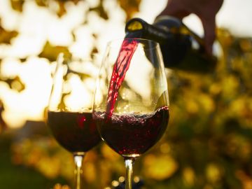 Deléitate con una selección de vinos Julieta que incluye desde un fresco Chardonnay hasta un cautivador Rosado floral, una opción ideal para el día de la madre.