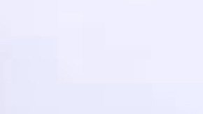 Aprovecha la oferta exclusiva y llévate la freidora de aire Ninja AF101, la elección número uno de los expertos, por solo $80.