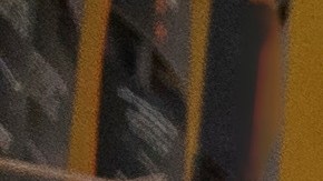 Oportunidades Laborales sin Barreras Idiomáticas: Explora 5 Carreras Gratificantes.