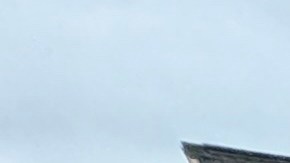 ¿Necesitas ayuda tras los daños causados por tormentas en Texas? Conoce cómo calificar y solicitar la asistencia por desastre de FEMA en este artículo.