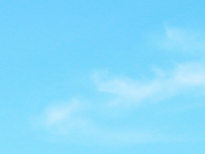 Aprovecha las ofertas del 15 de mayo en Best Buy: HP OMEN para juegos, auriculares JBL con cancelación de ruido, lavadoras LG inteligentes y batidoras Ninja con descuentos increíbles. ¡No te lo pierdas!