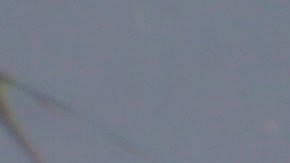 ¿No estás seguro de si comprar un iPhone reacondicionado? ¡Compara pros y contras para tomar una decisión inteligente!