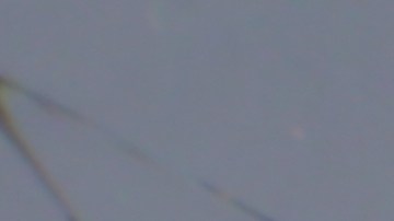 ¿No estás seguro de si comprar un iPhone reacondicionado? ¡Compara pros y contras para tomar una decisión inteligente!