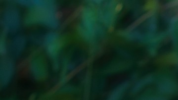 Conoce los beneficios del intercambio de libros y aprende a organizar uno en tu comunidad.