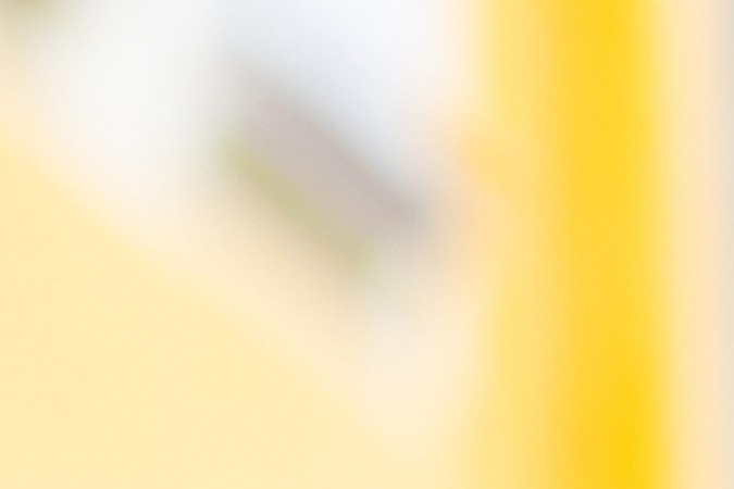 Tarjetas de regalo: la guía definitiva para compradores inteligentes. Descubre todo lo que necesitas saber antes de comprar una para tu próximo regalo.