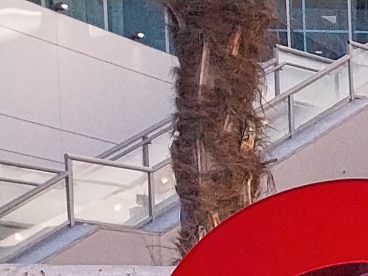 Target