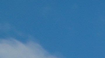 ¿Sueñas con una escapada a Florida? ¡Hazlo realidad! JetBlue tiene vuelos desde Long Island a Fort Lauderdale, Orlando y West Palm Beach por precios increíbles a partir de $49 por trayecto.