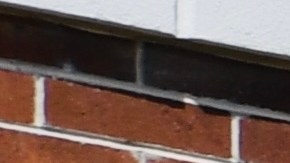 Walmart: Marcas propias que ahorran: Great Value, Mainstays y Equate: ¡calidad al mejor precio!