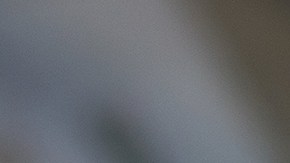 ¿Listo para surcar los cielos? CyberDay 2024 trae consigo una tormenta de ofertas en vuelos. ¡No te pierdas estas oportunidades!