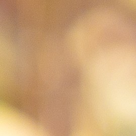 Compra inteligentemente: Descubre los secretos para encontrar ofertas increíbles en Estados Unidos