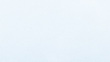 Obleas Loacker, frijoles negros orgánicos y limpiaparabrisas Michelin a precios irresistibles en Costco. ¡Aprovecha antes del 10 de julio!