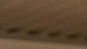 ¡Reduce tu huella de carbono y recicla! Descubre cómo encontrar muebles de segunda mano.