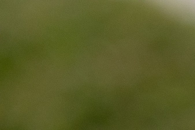  Compras inteligentes para un hogar impecable: Descubre las mejores tarjetas de descuento para productos de limpieza y artículos esenciales para el hogar.

