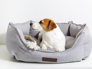 Cama para perros Bedsure: calidad y durabilidad. Funda lavable, materiales seguros y diseño elegante.