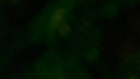 Deliciosas comidas ahumadas y asadas al aire libre: consigue la parrilla de carbón portátil y ahumador offset Sesslife con un 40% de descuento.