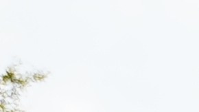 ¡Ahorra a lo grande en Walmart! Membresía anual de Walmart+ con 50% de descuento. Envío gratuito, entrega de comestibles, descuentos en gasolina y más. ¡Perfecta para aprovechar las ofertas del evento Walmart Deals!