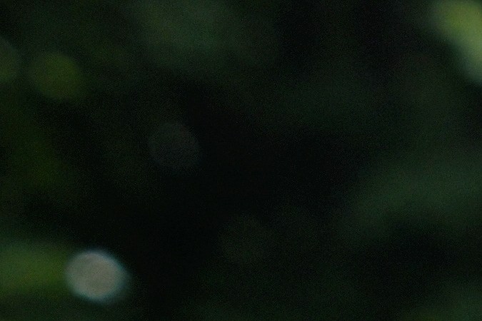 Celebra el 4 de julio con los mejores espectáculos de fuegos artificiales gratuitos en Washington, Nueva York, Los Ángeles, Houston y Miami. ¡No te los pierdas!