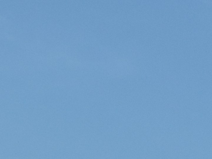 Ahorra en grande con las ofertas de verano de Dollar Tree. Encuentra 10 productos esenciales para el verano a solo $1.25 o $5.00.