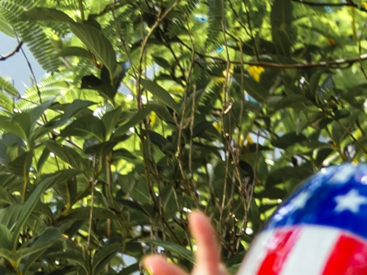 ¿Dónde ver los fuegos artificiales del 4 de julio gratis? Conoce los puntos ideales en Washington, Nueva York, Los Ángeles, Houston y Miami para una celebración inolvidable.