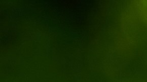 ¿Buscas unas zapatillas cómodas, estilosas y versátiles? ¡Las New Balance 530 para mujer son la solución perfecta! Aprovecha la oferta especial y consigue las tuyas por solo $89.99.