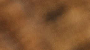 Ahorra en AirTags de Apple y mantén tus pertenencias localizadas. Descubre las mejores ofertas para este verano.