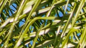 No te pierdas las increíbles ofertas de Best Buy del 15 de agosto: grandes ahorros en tecnología y electrodomésticos como la freidora de aire Bella Pro y más.