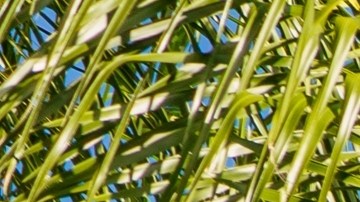 Hoy, 29 de agosto, encuentra grandes descuentos en Best Buy en productos como el Samsung Galaxy S24 Ultra, impresoras HP y otros dispositivos. ¡Revisa las mejores ofertas aquí!