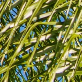 Aprovecha las ofertas del 01 de agosto en Best Buy. Encuentra descuentos en la recortadora Panasonic, auriculares Sennheiser, licuadora Bella, y más.