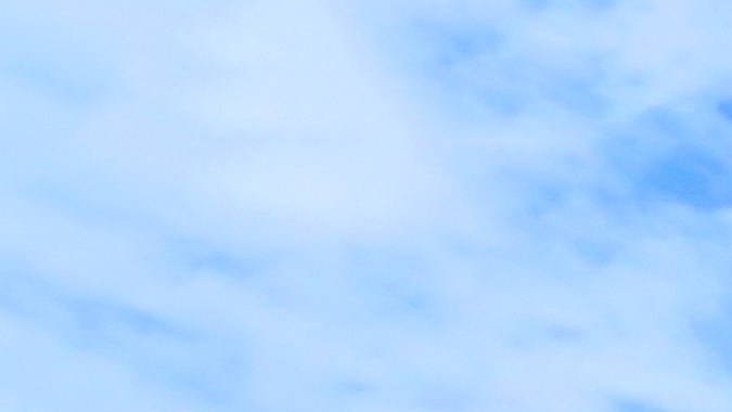 Desde electrónica hasta alimentos, descubre cómo ahorrar en todos tus productos favoritos de Costco. Una bloguera te muestra cómo encontrar las mejores ofertas en cada sección de la tienda.