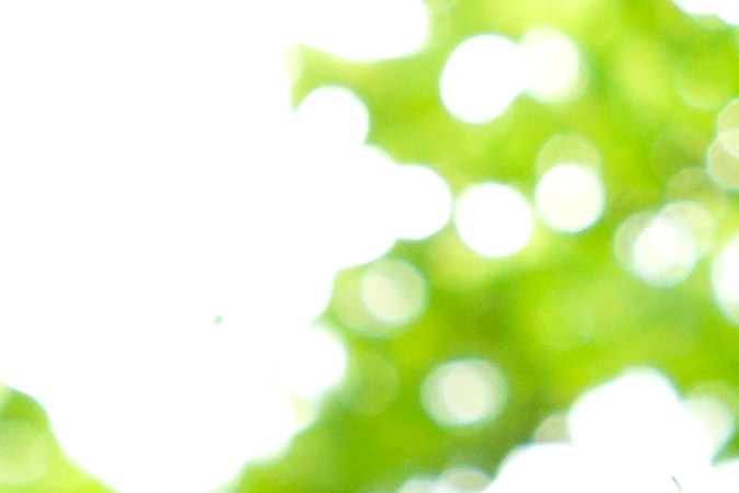 ¡Convierte tu jardín en un aula al aire libre! Descubre cómo un huerto en casa puede enseñar a tus hijos sobre la naturaleza, la nutrición y la importancia de cultivar sus propios alimentos.