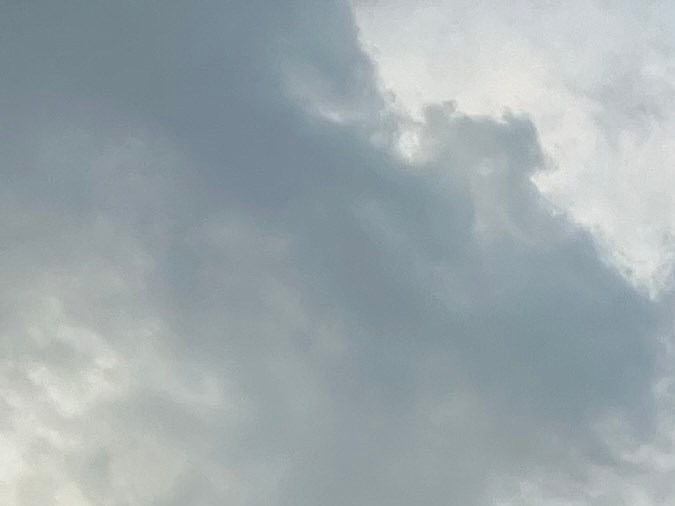 Conoce los supermercados con los mayores descuentos en EE. UU. y ahorra en cada compra. Trader Joe's es el líder en ahorro.