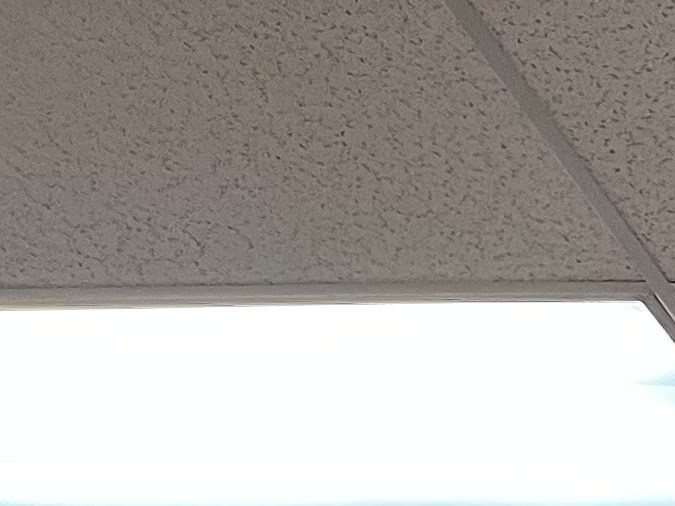 Ofertas irresistibles en Trader Joe's: Este agosto, disfruta de productos como castañas sazonadas y raviolini a precios accesibles. ¡Perfectos para cualquier ocasión!





